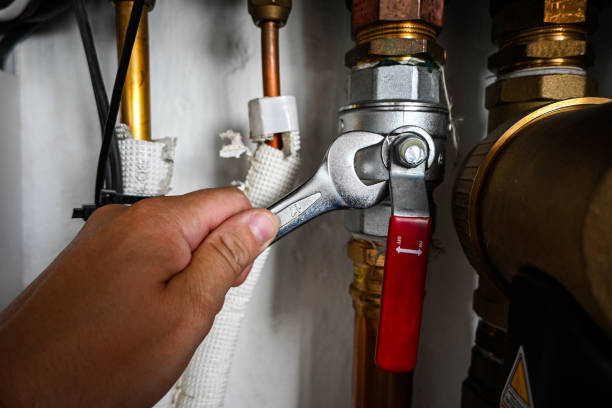 Best Clogged Drain Plumber  in Pleasant Valley, WV